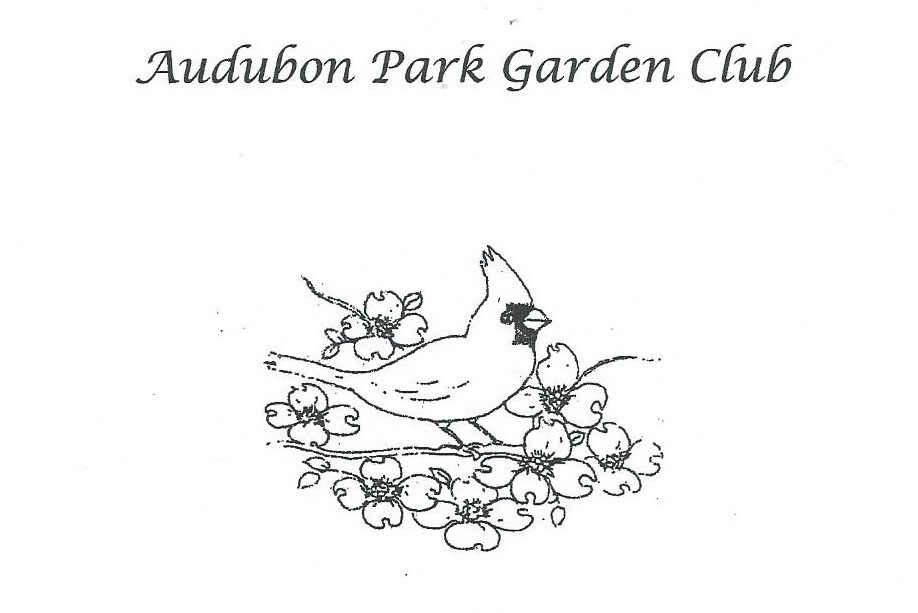 Potluck Luncheon Audubon Park Garden